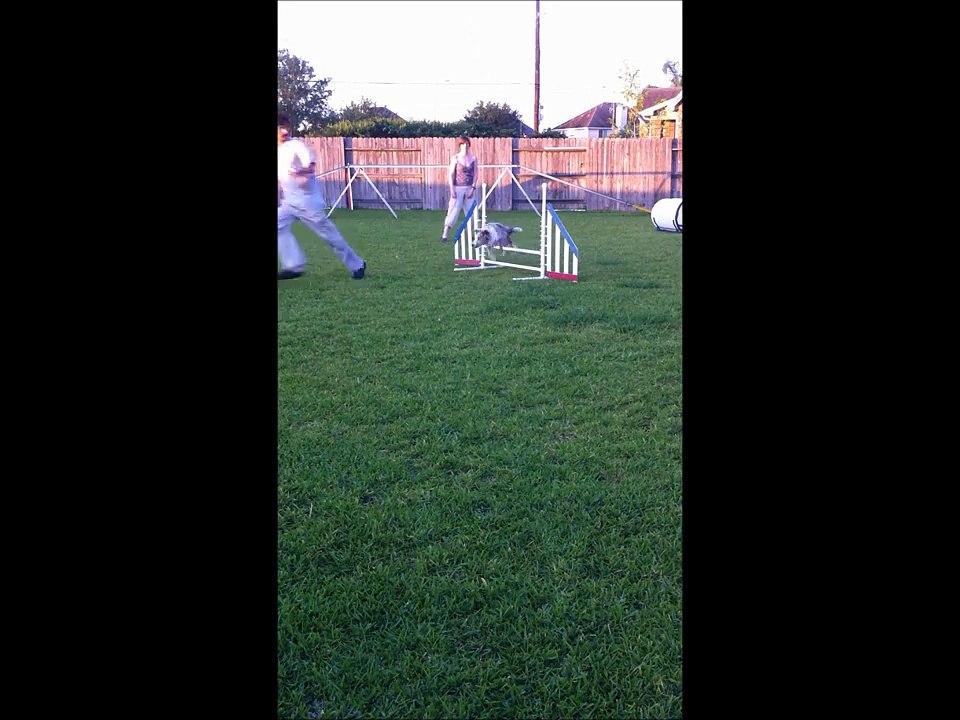 Puppy: Introduction to Angled Approaches