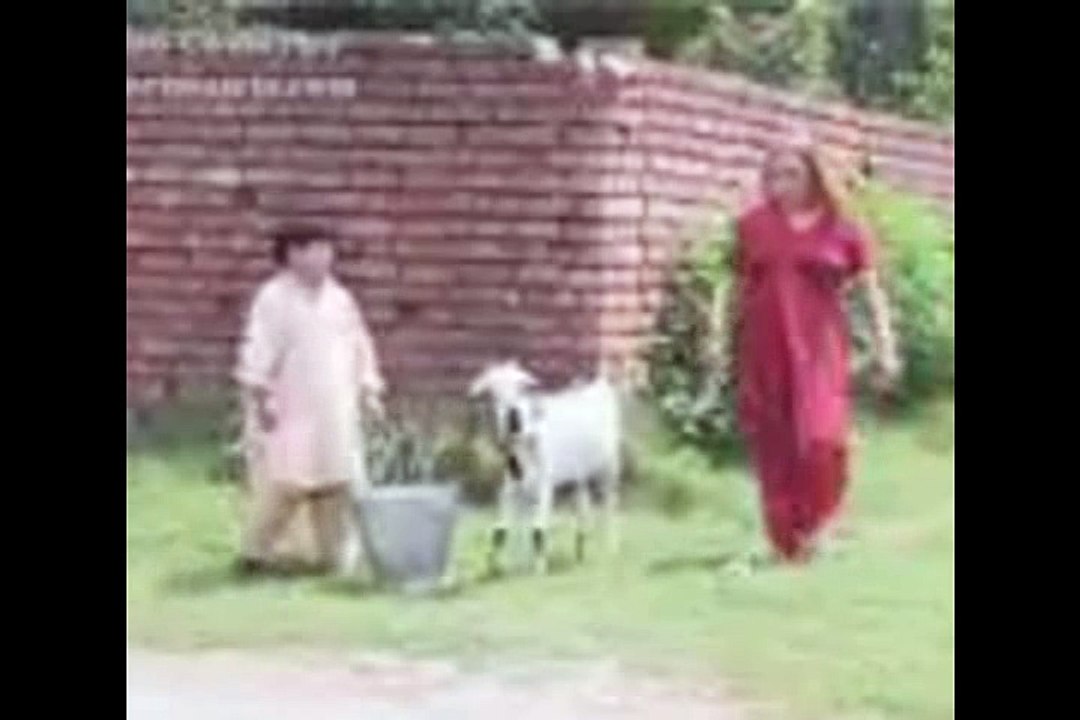لڑکے کی لرکی کو شادی کی دعوت Little boy proposed a young girl