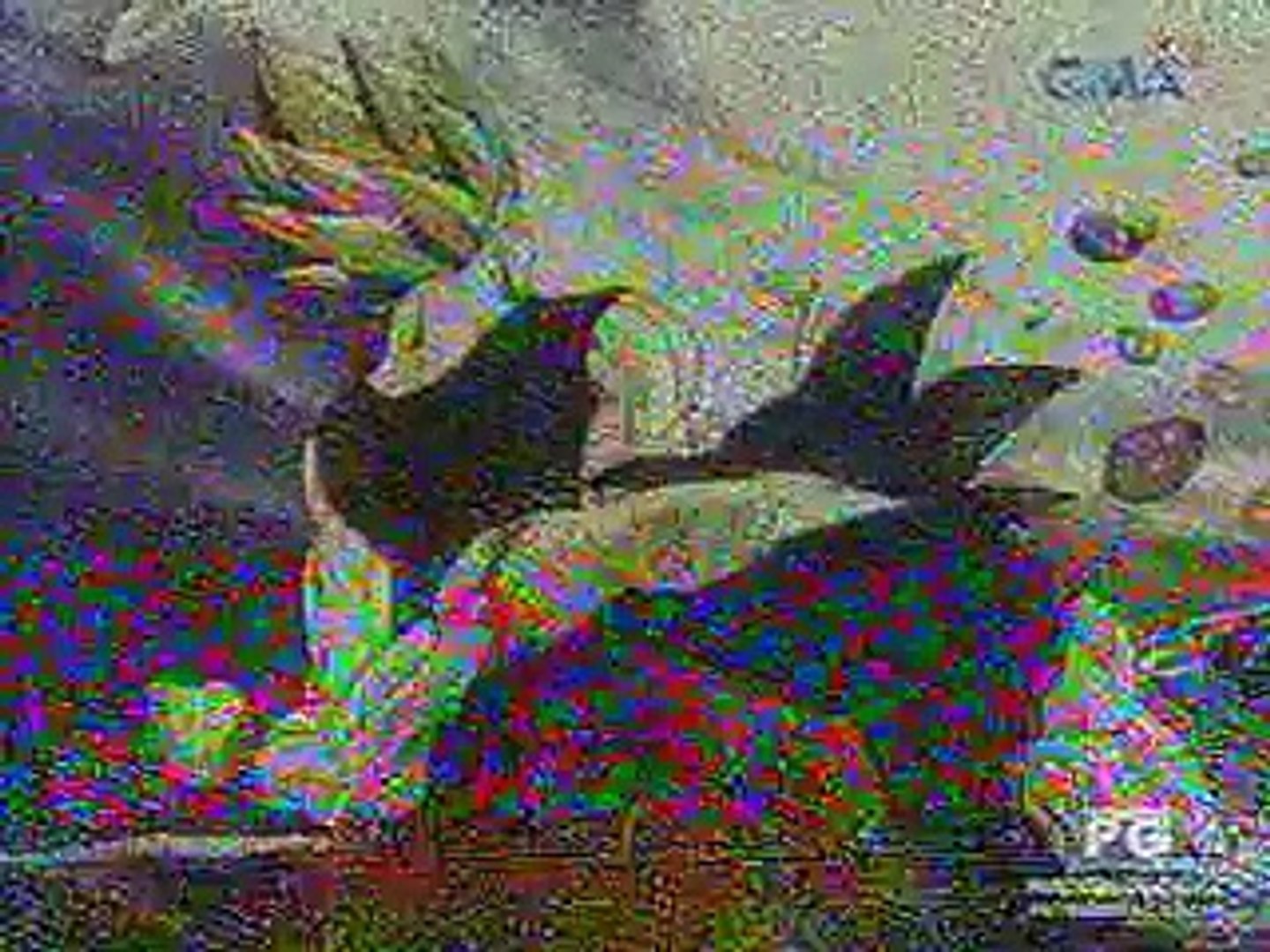 ⁣DBZ Movie 12 : The Fusion Reborn [Tagalog Dubbed] ][Part 5]