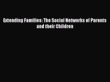 Read Extending Families: The Social Networks of Parents and their Children Ebook Free