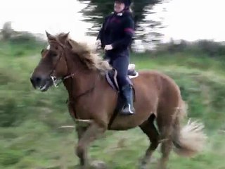 billy being tested on the tracks with luke cantering past