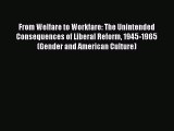 Read From Welfare to Workfare: The Unintended Consequences of Liberal Reform 1945-1965 (Gender