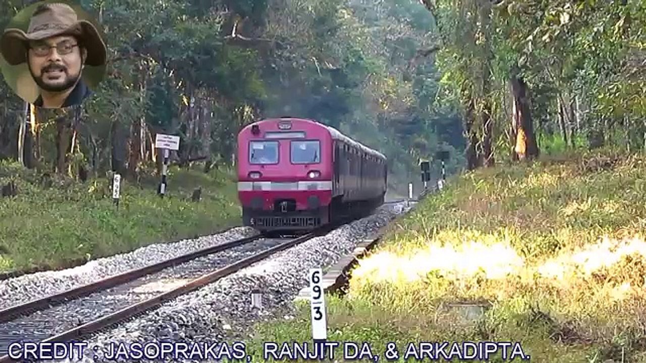 Elephant Tried Many Times To Jump A Small Drain