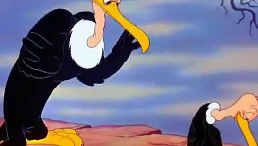 Looney Tunes- no no nope beaky buzzard - Dailymotion Video