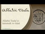 Allah Teala'yı Tanımak ve İtaat - Sorularla İslamiyet