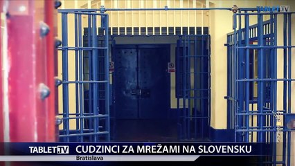 CUDZINCI ZA MREŽAMI NA SLOVENSKU