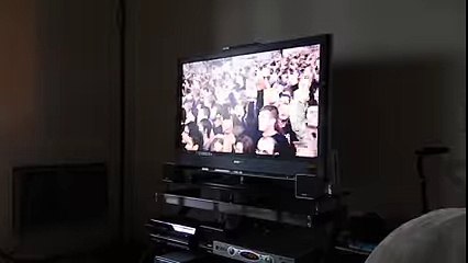 Cat Watching Slayer Video