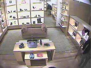 Grand Larceny Suspects Who Tried To Buy Louis Vuitton Items