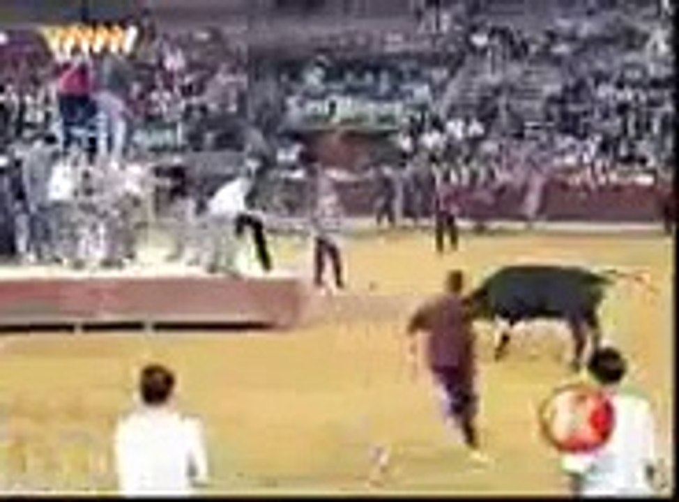 Bull Fighting In Spain