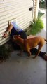 Girl stuck in a doggy door