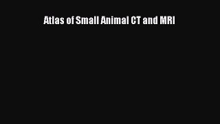 Read Atlas of Small Animal CT and MRI Ebook Free