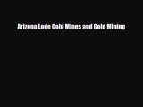 PDF Arizona Lode Gold Mines and Gold Mining Ebook