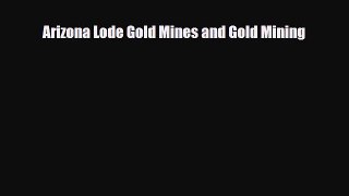 PDF Arizona Lode Gold Mines and Gold Mining Ebook