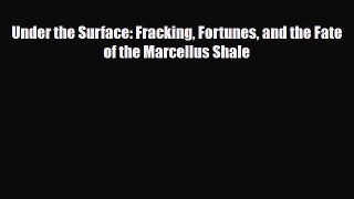 PDF Under the Surface: Fracking Fortunes and the Fate of the Marcellus Shale Free Books