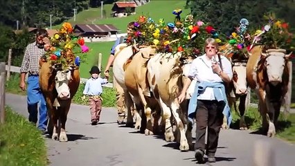 Suiting Up - Erik Roner