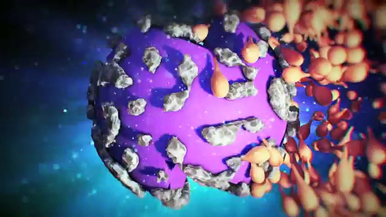 ---Medical Animations- Intrauterine Insemination (IUI) - YouTube