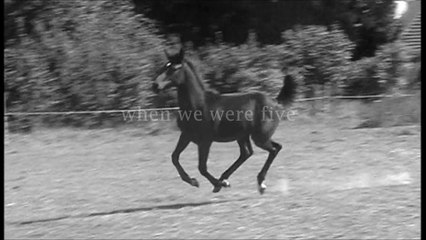 because nothing is permanent!