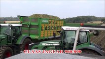 Mais Hakselen 2014 : Vital Laschet & Wiesemes, Claas Jaguar 960/890 Fendt 939 en 936