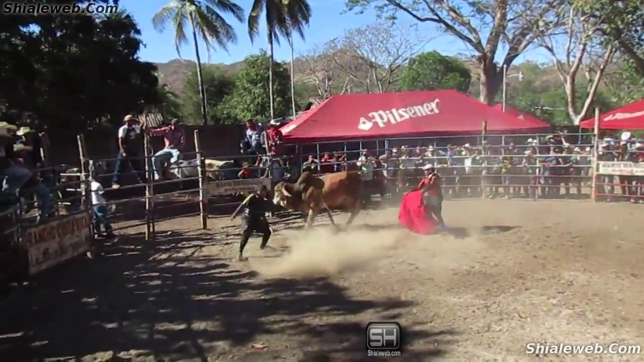 JARIPEO FIESTAS TRADICIONALES EN GUARNECIA SANTA ANA EL SALVADOR TORO SALVAJE Y GANADERIA AUTOCTONA CABALLO MARZO 2016