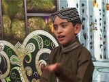 Aa V Ja Wallel Zulfan Walya Video  | Faizan Ali Qadri | TS Gold