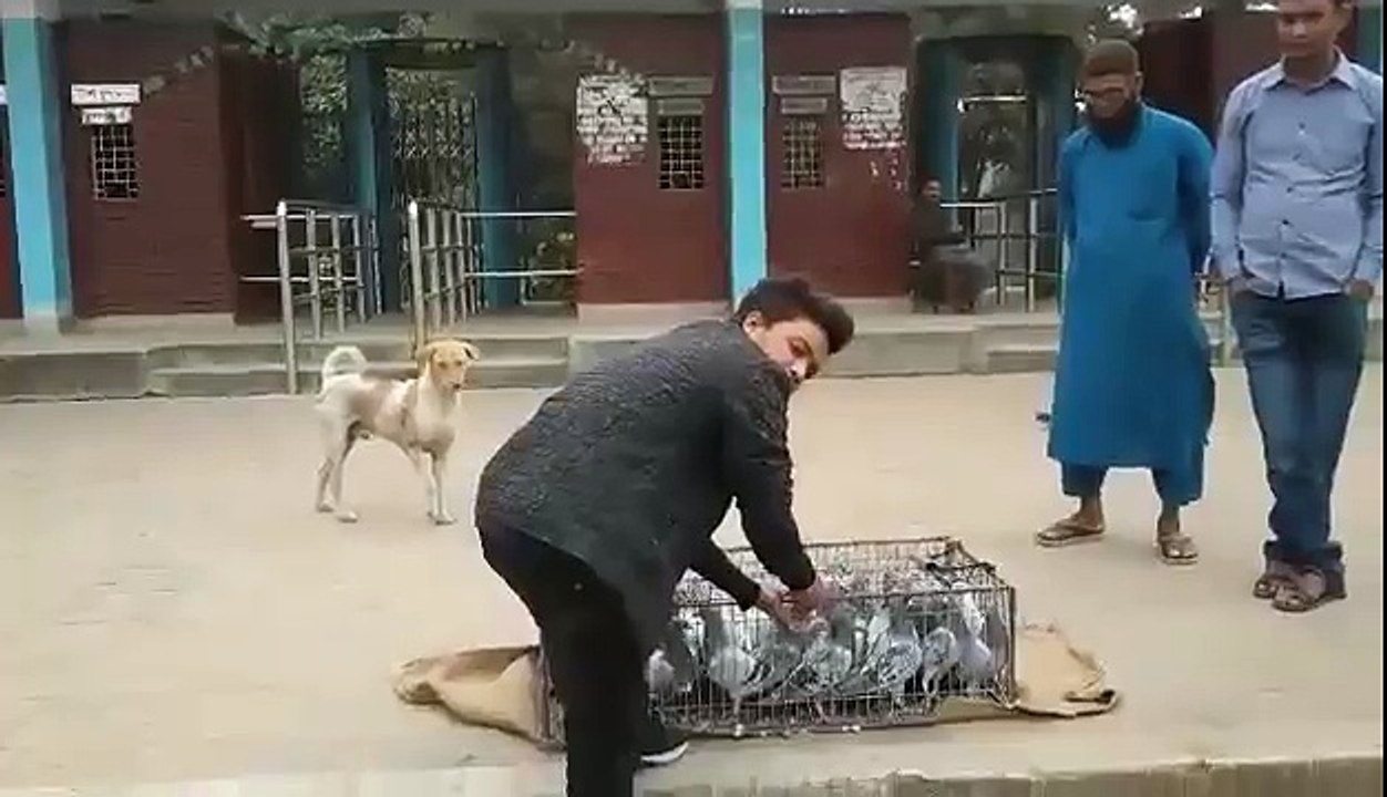 Kobutor -
