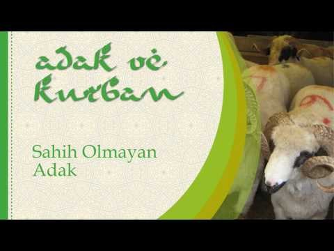 Sahih Olmayan Adak - Sorularla İslamiyet