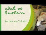 Kurban İçin Vekalet - Sorularla İslamiyet