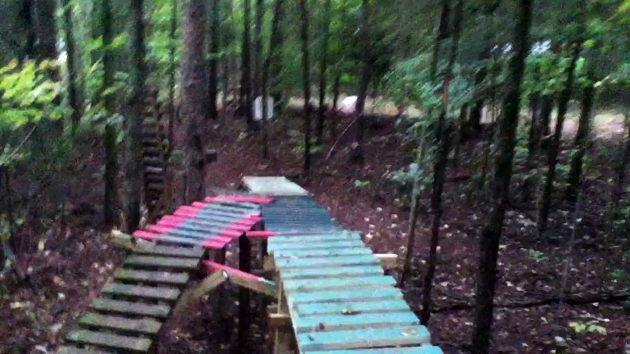 Mark royster ladder ride