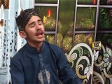 Allah Teri Shan Nerali Video | Mehran Ali Qadri | TS Gold