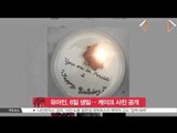 [K-STAR REPORT]Yoo Ah-in's birthday cake on SNS/유아인, 6일 생일 맞아 케이크 사진 공개
