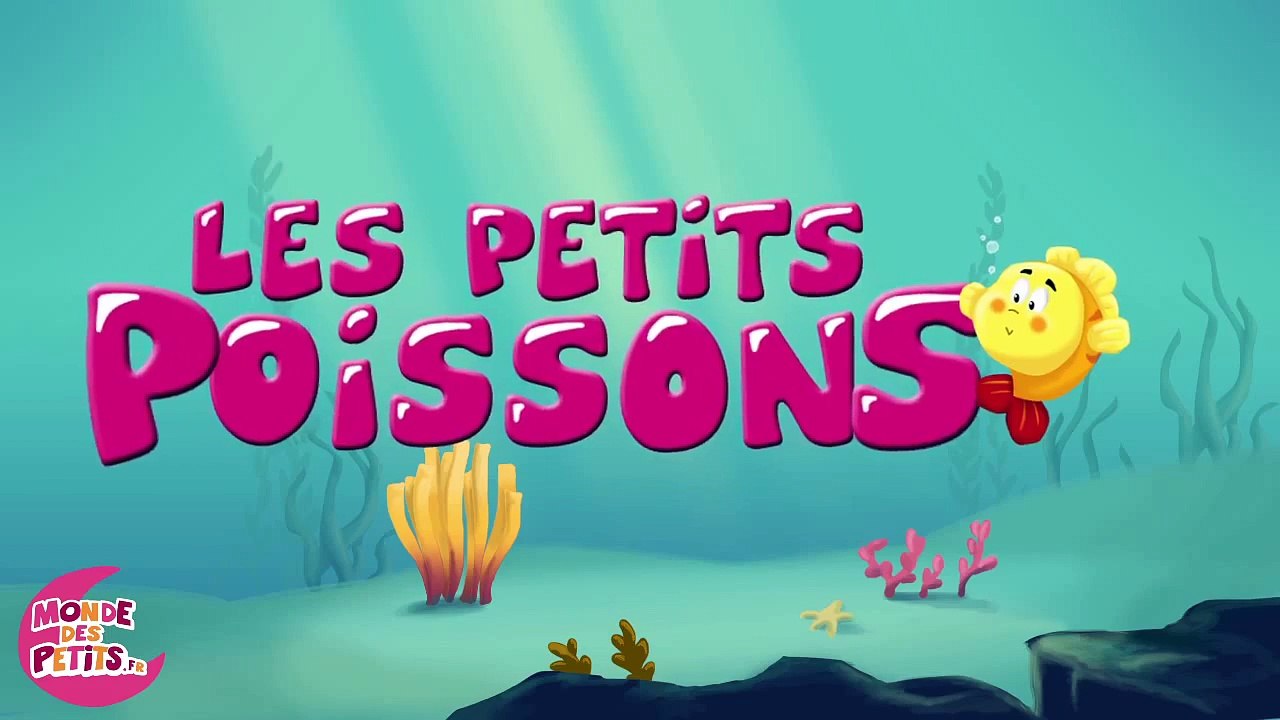 Les petits poissons dans leau