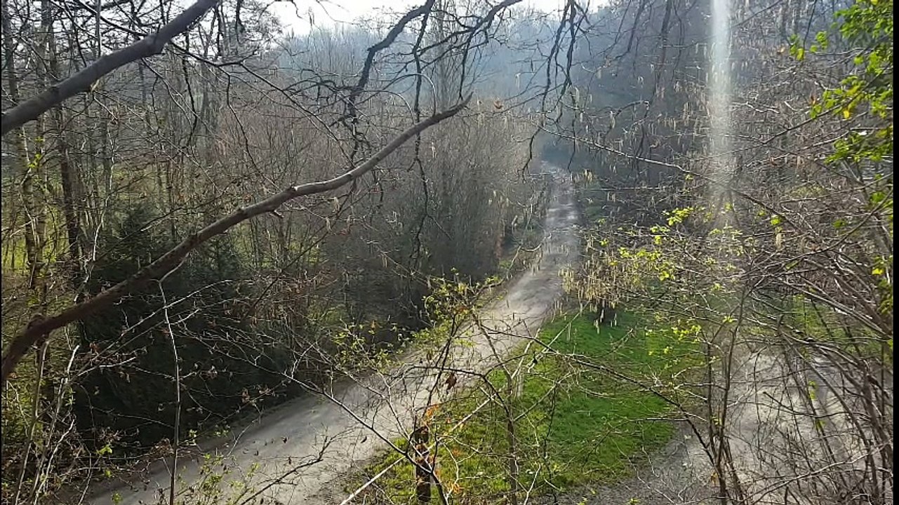 rallye de la cote fleurie 2016