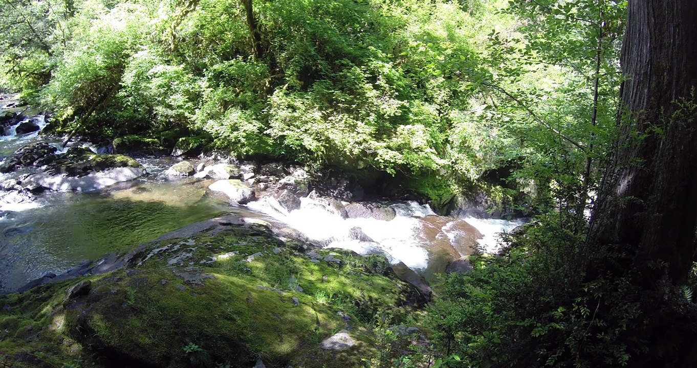 some rapids on Sweet Creek, 4k
