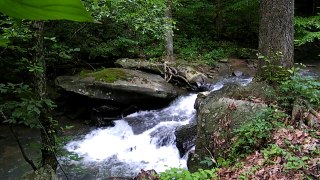 Drawdy Falls, down stream