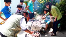 Volunteering at Korean Orphanages (HD)
