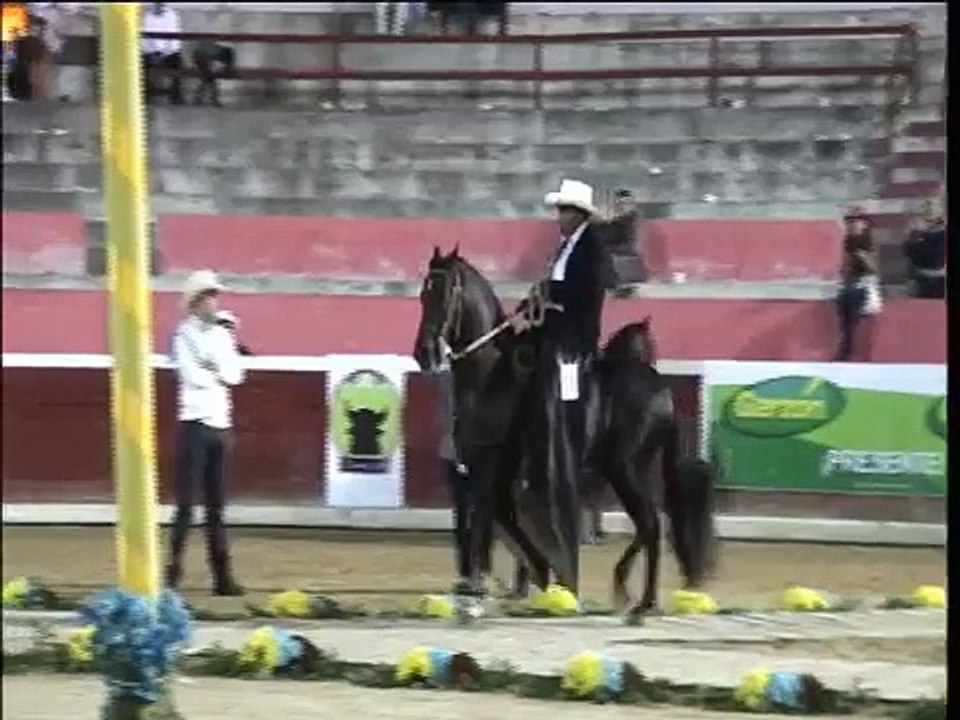Arrebol de San Isidro - Merida 2013 - Gran Campeonato