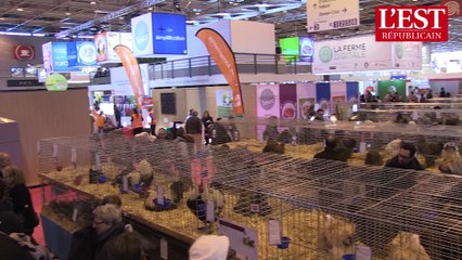 Meuse : Jean Claude Périquet patron du poulailler du salon de l'agriculture