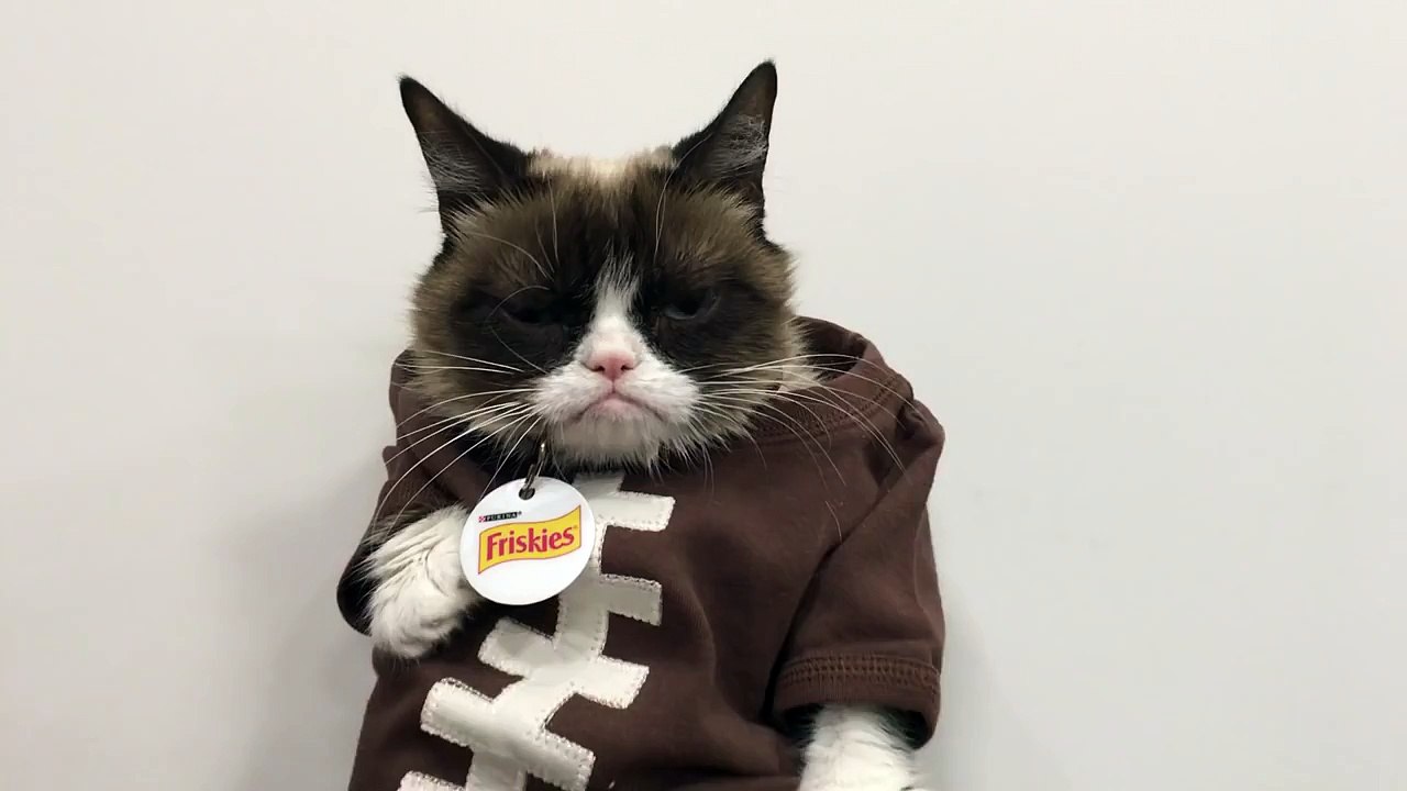 Grumpy Cat Nos Football