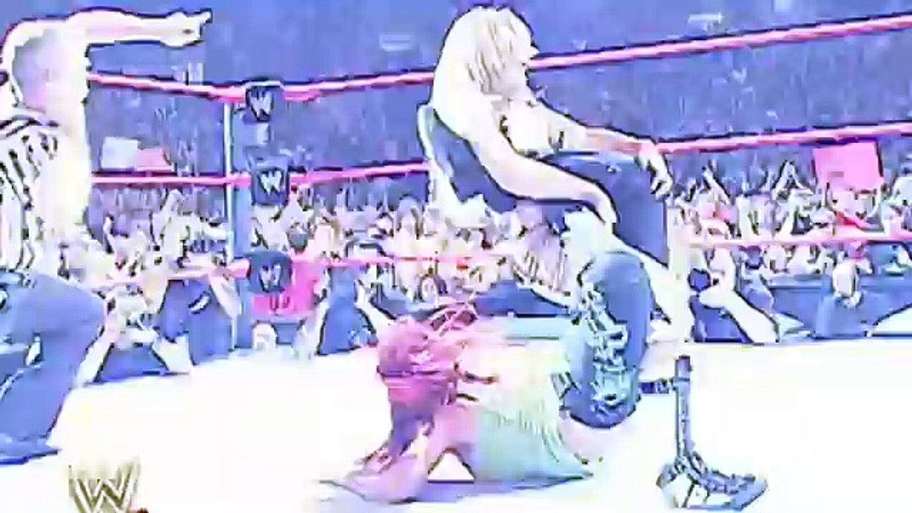 WWE DIVAS FAIL 2015