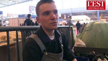 Salon de l'agriculture : maquillage obligatoire avant  l'entrée sur le ring