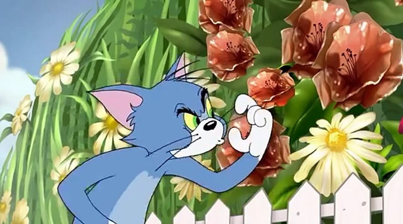 Tom and Jerry and The Wizard of Oz.2011