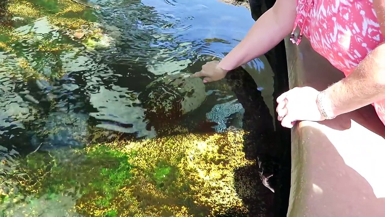 BABY MOVES FOR FIRST TIME!!