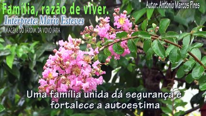 FAMÍLIA RAZÃO DE VIVER (MENSAGEM) - MÁRIO ESTEVES - AUTOR ANTONIO MARCOS PIRES