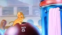 Tom and Jerry new cartoon The Bowling Alley Cat
