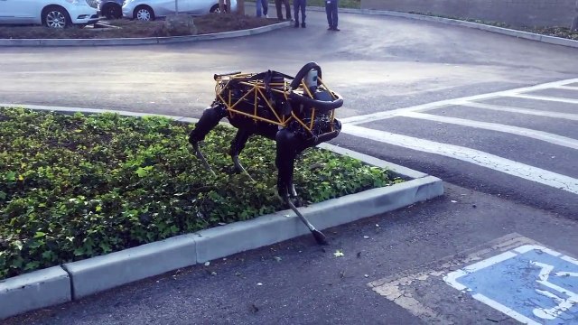 Un chien joue avec un robot à 4 pattes