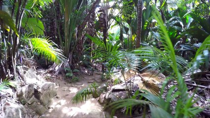 Seychelles Aout 2015 Mahé - Praslin - La Digue // GoPro Hero 4