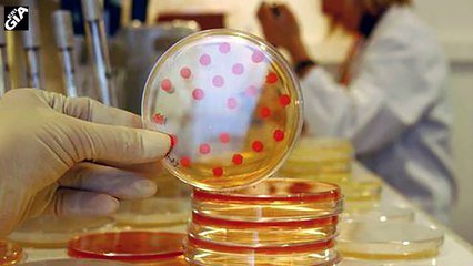 Alert-Bananas-were-found-infected