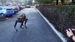 Un chien joue avec un robot à 4 pattes. Adorable