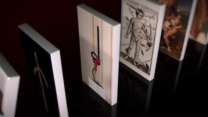 Carambolages : la bande annonce