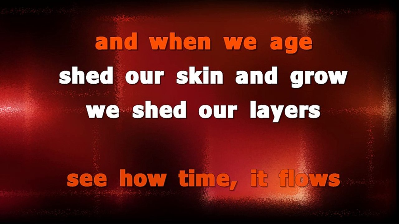 Foals Birch Tree  Karaoke